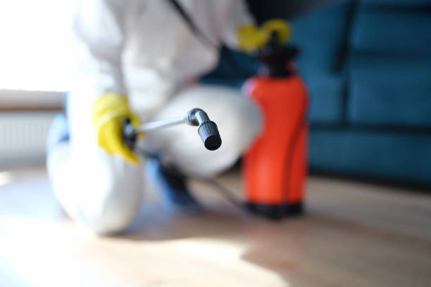 Best Mold Remediation for Healthcare Facilities  in Washington Mills, NY